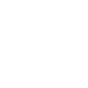 30 years  on the market